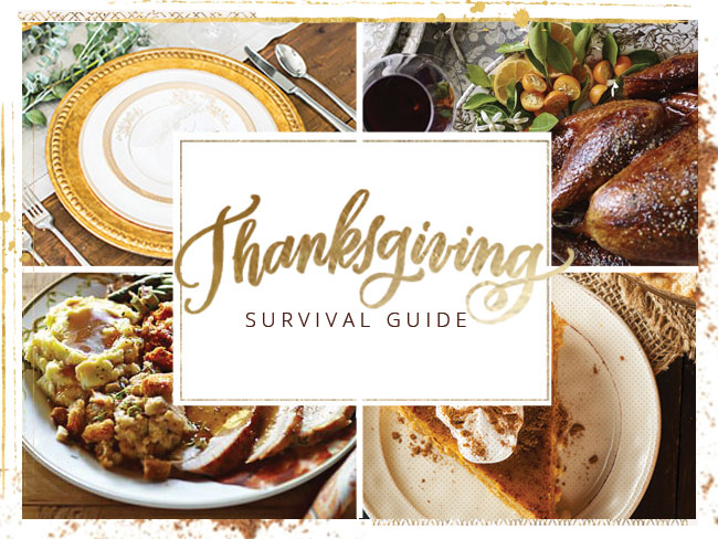 thanksgiving-survival-guide